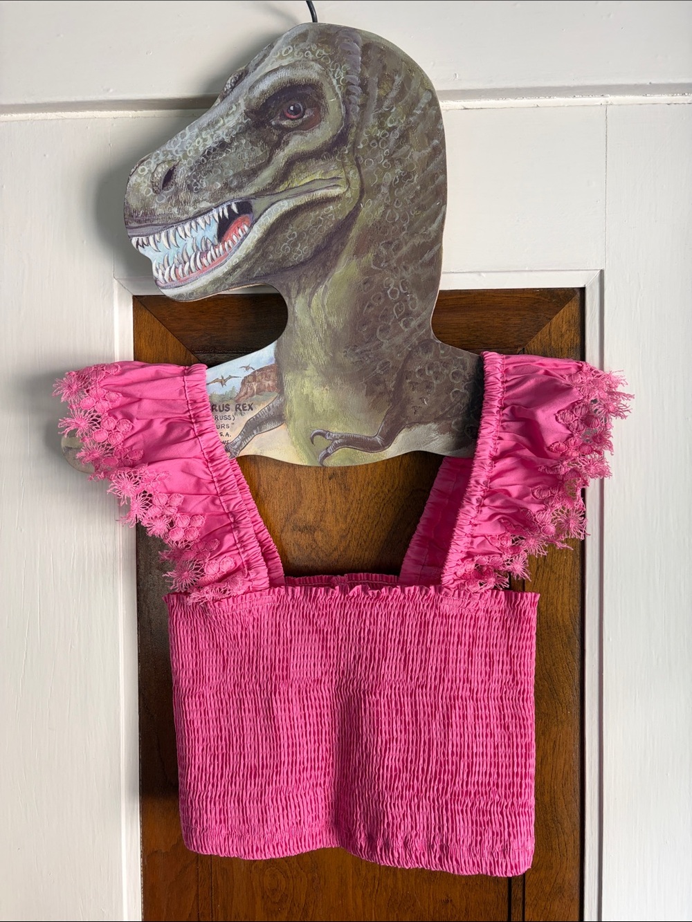 Peixoto Pink Mariel Smocked Crop Top